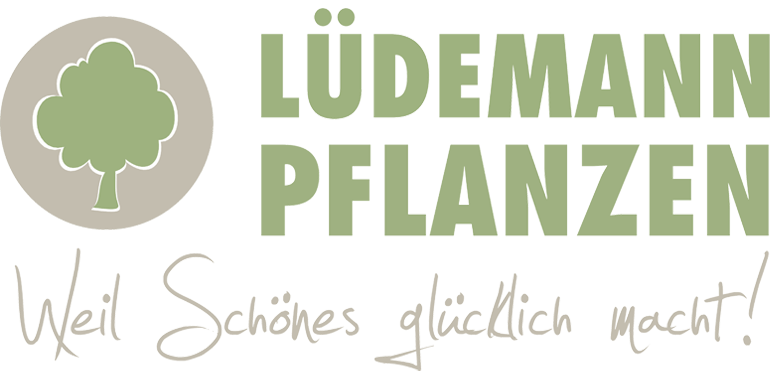 Lüdemann Pflanzen GmbH Gartencenter Logo