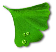Lüdemann Sanitärtechnik Logo