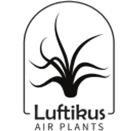 Luftikus Airplants Logo