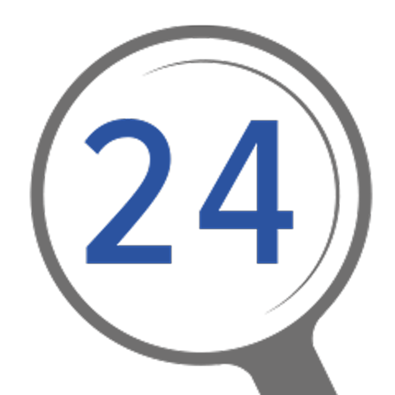 Lupe24 Logo