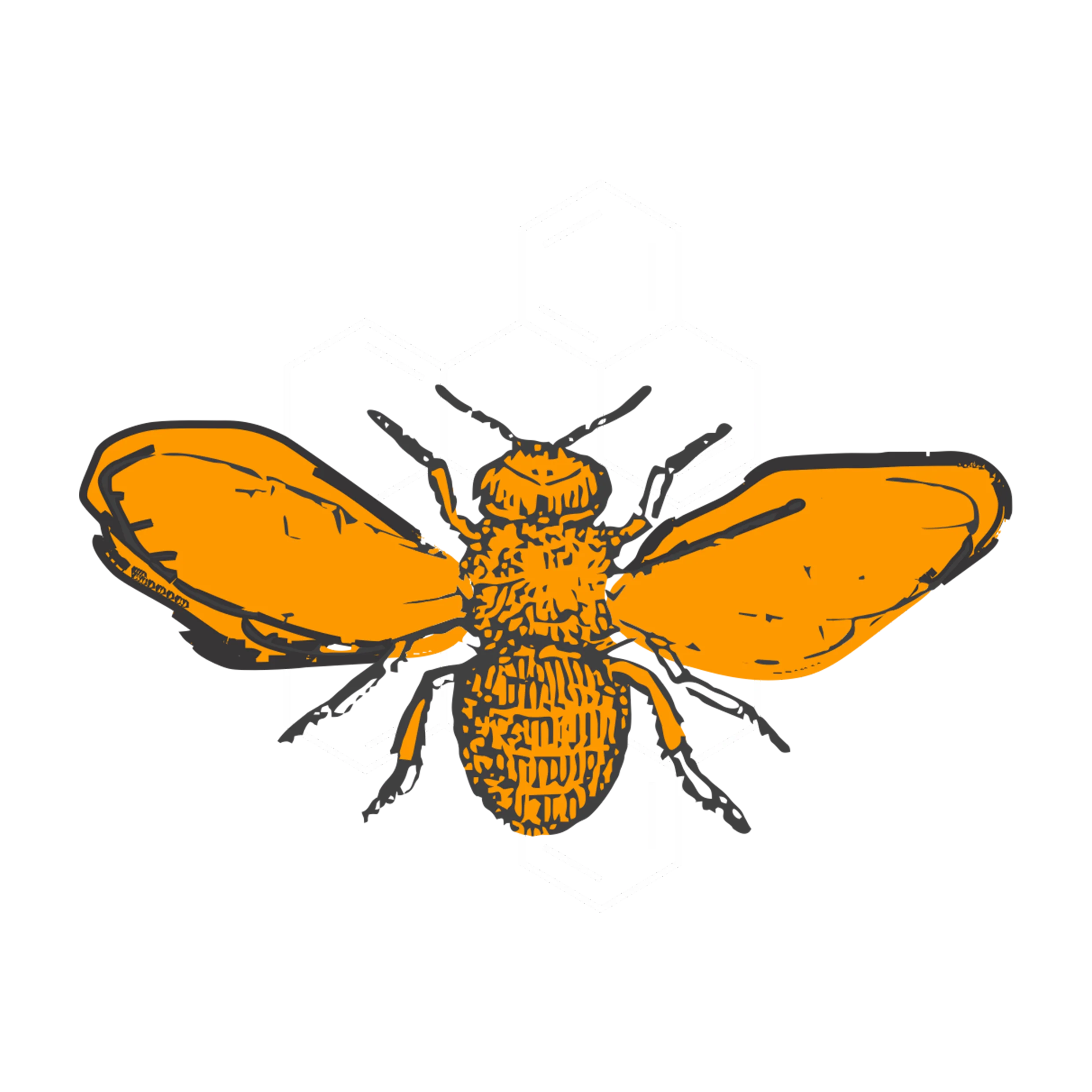 Mad Honey Nepal Logo