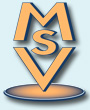 Vogel Steffen Versicherungsmakler Logo