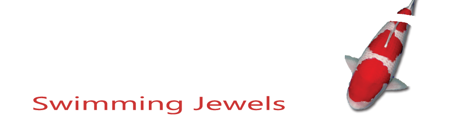 makoi.nl/de Logo