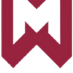 Mall of the watch Logo