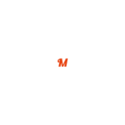 mansholt-shop.de Logo