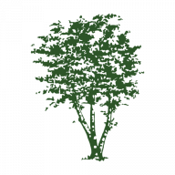 Dietz Markus Logo