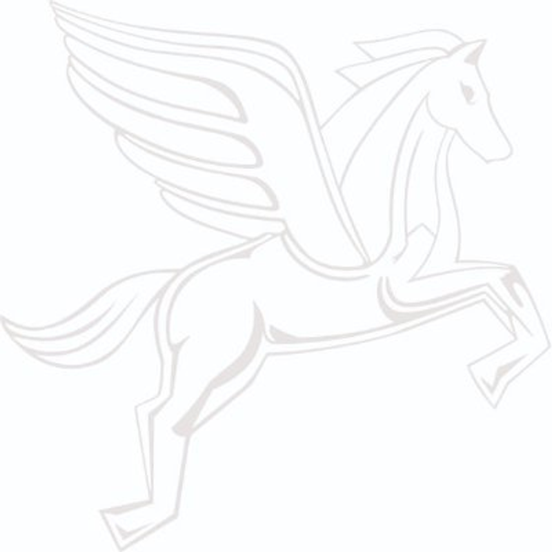 Martino-Design Logo