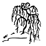 Bestattungen Masermann-Neumann Logo