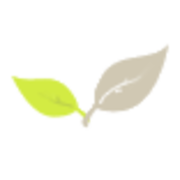 Schäfer Andrea Massagepraxis Logo