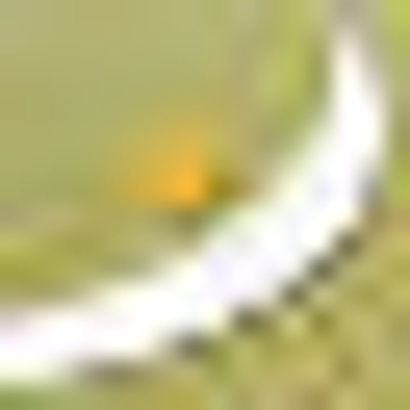 Massagesessel Sanazen Logo