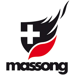 Fritz Massong GmbH Logo