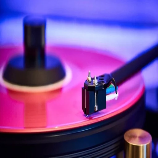 Master Vinyl UK Logo