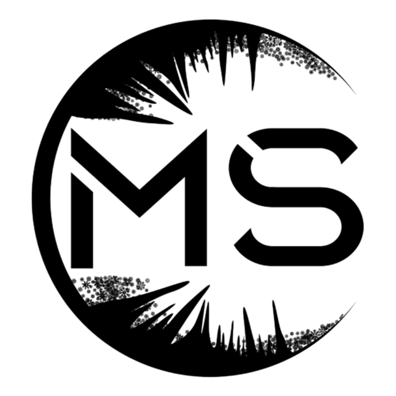 MS Performance - Mathieu Schmidt Logo