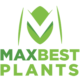 Maxbestplants Logo