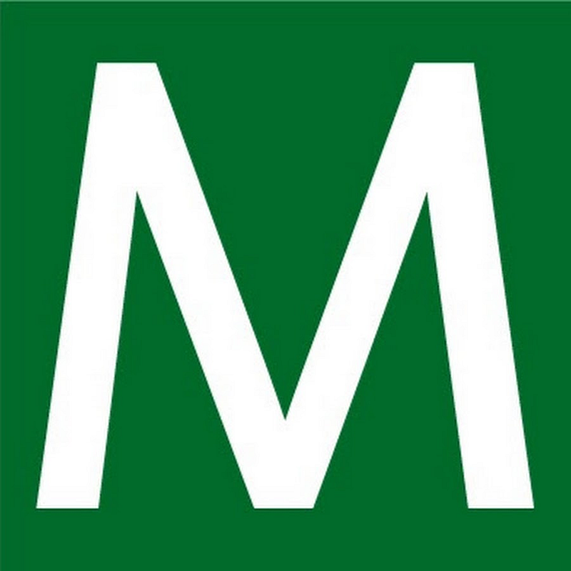 maxifleur-kunstpflanzen.de Logo