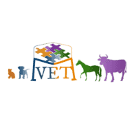 www.medilutions.de Logo