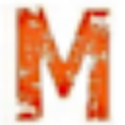 Megasellingstore Logo