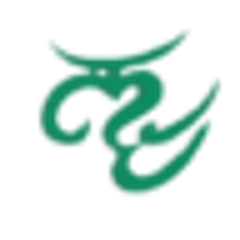 Mehndi Temple Logo