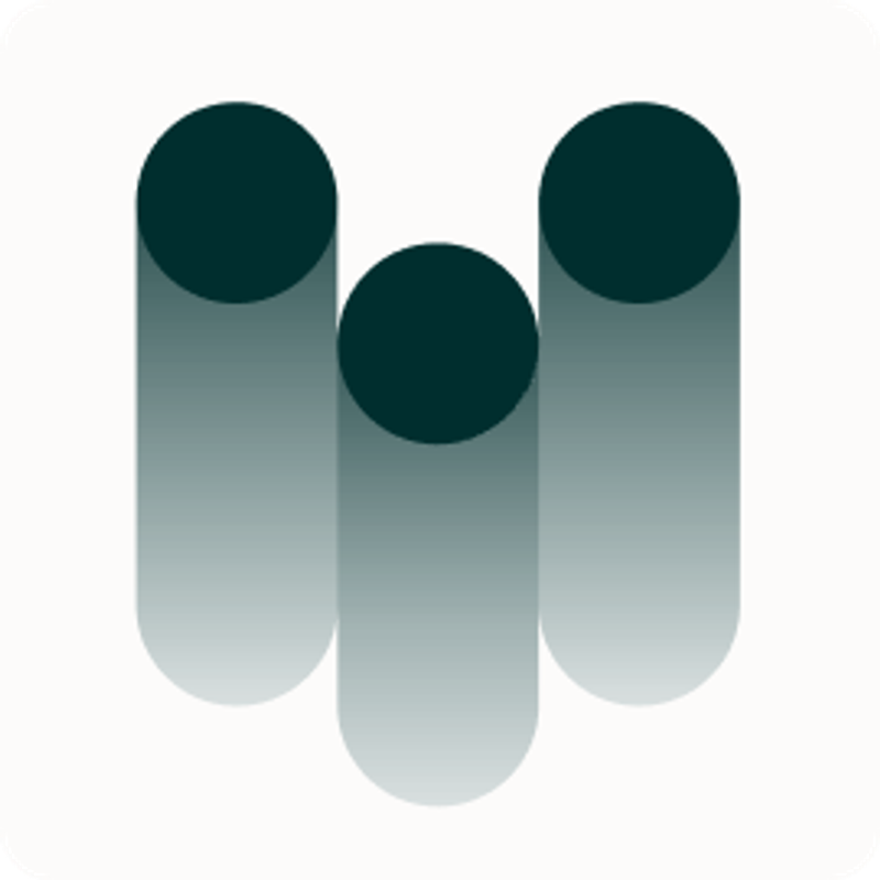 meinhundert Logo