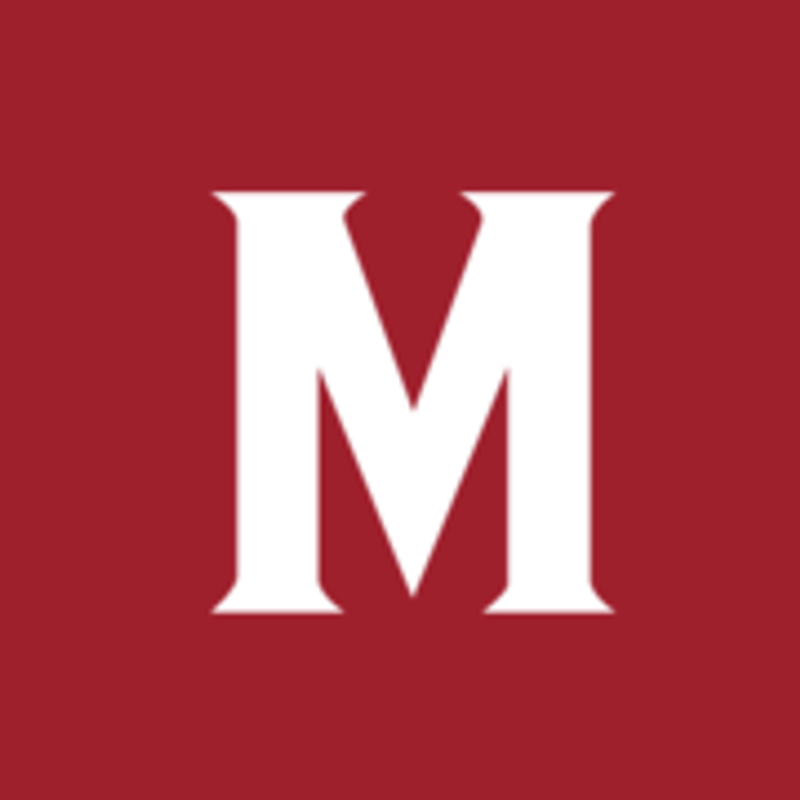 MeinMetzger.de Logo