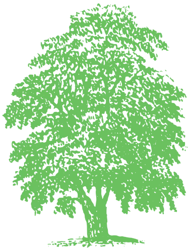 Meisterbaum Logo