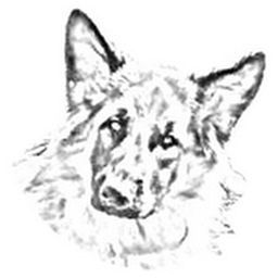 Mellis Petshop Logo