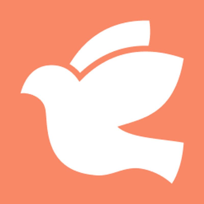 Memovida Logo