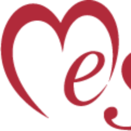 Mesedi Beratungs & Vermittlungs GmbH & Co. KG Logo