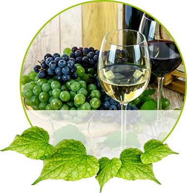 Meteora GmbH Import-Export Logo