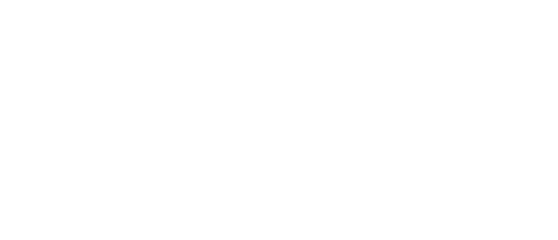 Elci Esmeray Logo