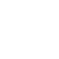 Mind Distillery Logo