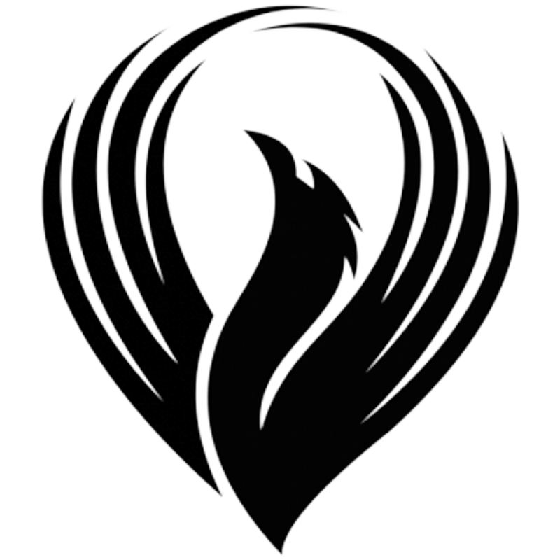 Ahmad Hachicho - Mindathy Logo