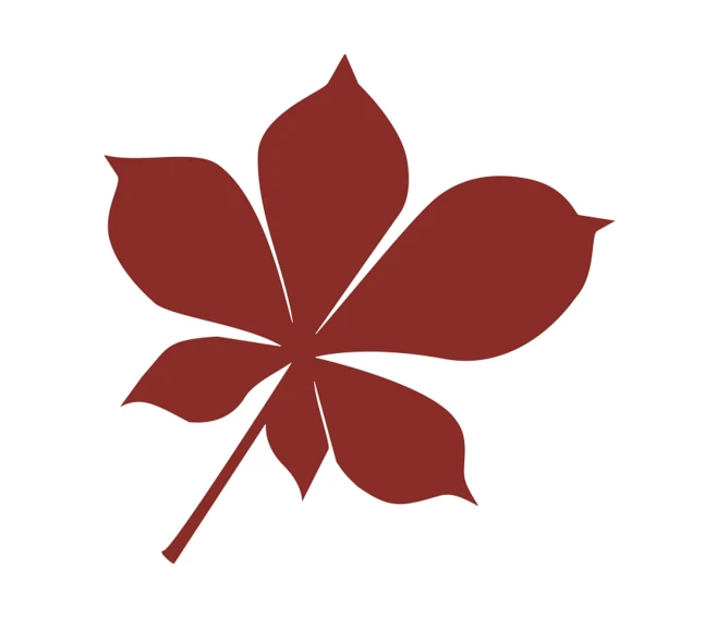 MIVALIED Rohstoffhandel e.K. Logo