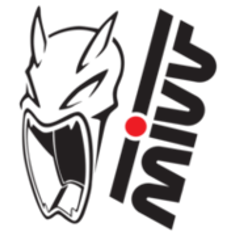 mivv-auspuff.de Logo