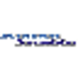 Burmeister Motorsport Logo