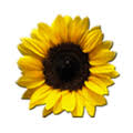 Moebelschmiede Logo