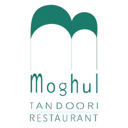 Moghul Inh. Naseem Hasan Chaudhary Logo