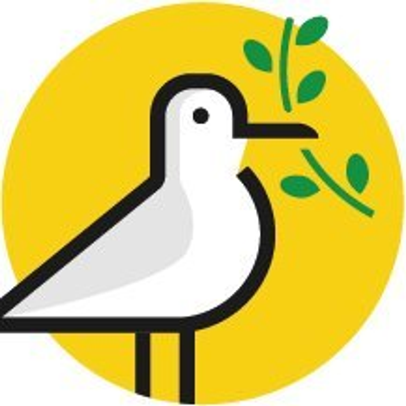 moincoins.com Logo