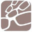 Mono Optik Augenoptiker Logo