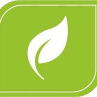 More Than Gifts Logo
