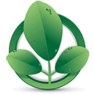 Moringa's Finest Logo