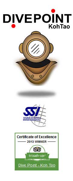 MotorCustom Logo