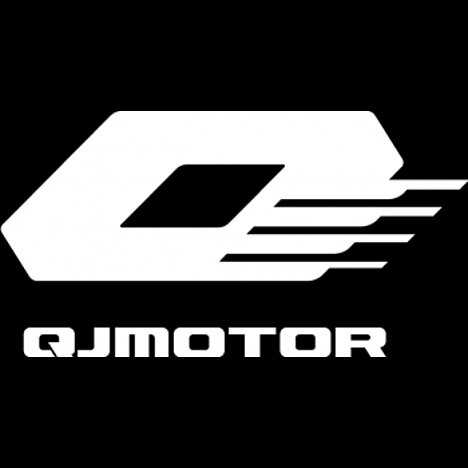 Dewitz Stefan Motorradservice Logo
