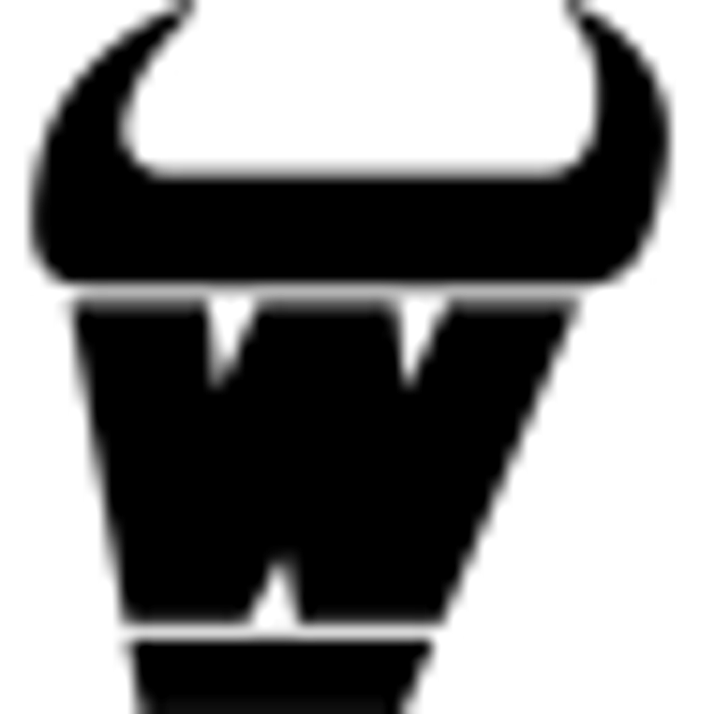 Mowox Logo