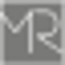 Bodenvision Logo