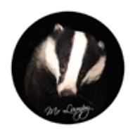 Mr Lumpy & Friends Logo