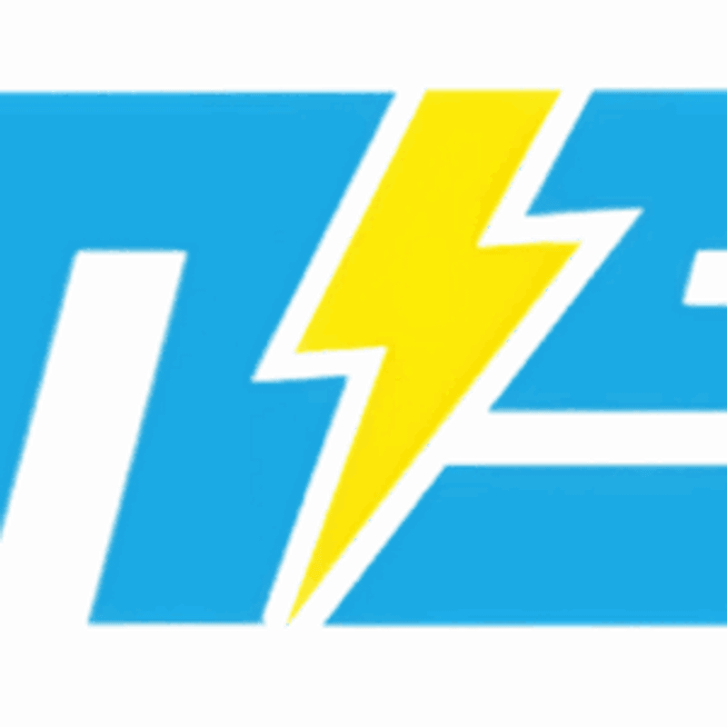 MS Elektronik Logo