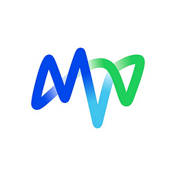MVV Partner Logo
