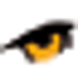 adlerauge Coaching Logo