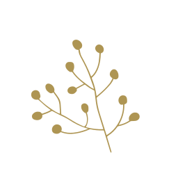 mysource Trauungen Logo
